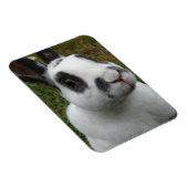 愛らしいウサギ マグネット (右側)