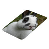 愛らしいウサギ マグネット (左側)