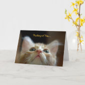 愛らしいオレンジ色の虎猫子猫とのグリーティングカード カード (黄色い花)