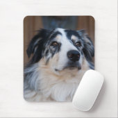 愛らしいオーストラリアの羊飼いミックスのクローズアップ写真 マウスパッド (マウス)