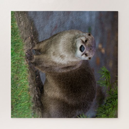 愛らしいカワウソが川岸に ジグソーパズル (横)