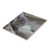 愛らしいカワウソ タイル (側面)