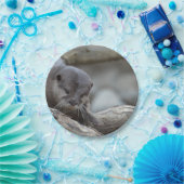 愛らしいカワウソ ペーパープレート (パーティー)