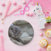 愛らしいカワウソ ペーパープレート (パーティー)