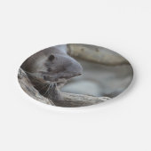 愛らしいカワウソ ペーパープレート (アングル)