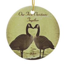 愛らしいガチョウ私達の初めてのクリスマスのオーナメント