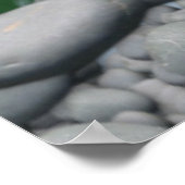 愛らしいキツネの家族 ポスター (角)