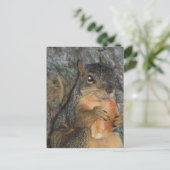 愛らしいキツネリスの木の食べ物のア転がア ポストカード (スタンド正面)