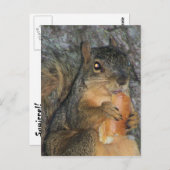 愛らしいキツネリスの木の食べ物のア転がア ポストカード (正面/裏面)