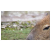 愛らしいキャピバラ生地 ファブリック (ファットクウォーター)