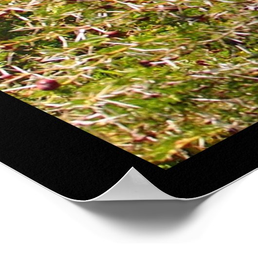 愛らしいキリンが木々の上で頭を突き出した ポスター (角)