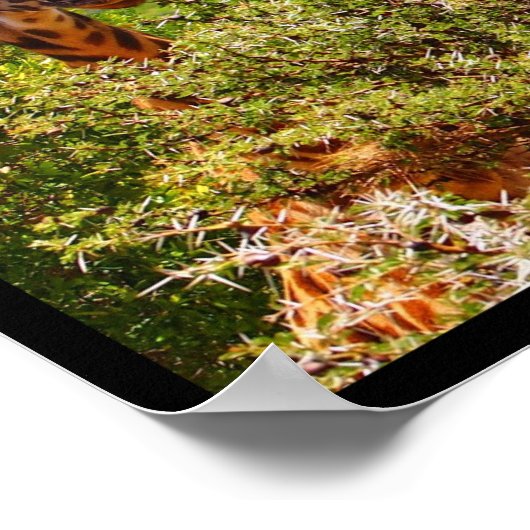 愛らしいキリンが木々の上で頭を突き出した ポスター (角)