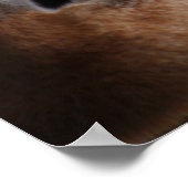 愛らしいキリン顔 ポスター (角)