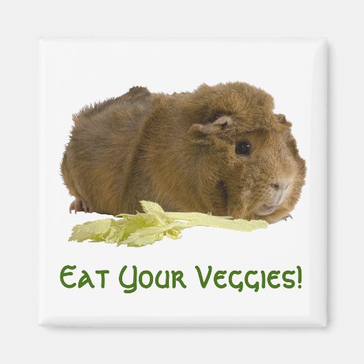 愛らしいギニア豚食べのセロリ写真 マグネット (正面)