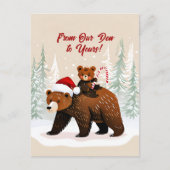 愛らしいクマとフェスティバルメッセージ シーズンポストカード (正面)