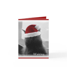 愛らしいクリスマスの子ネコ