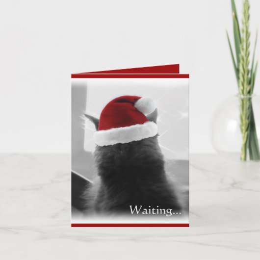 愛らしいクリスマスの子ネコ シーズンカード (正面)