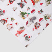 愛らしいクリスマスの子猫の柄 薄葉紙 (詳細)