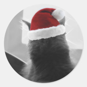 愛らしいクリスマスの子猫 ラウンドシール