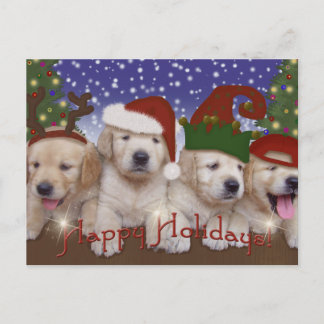 愛らしいクリスマスラブラドール子犬! シーズンポストカード