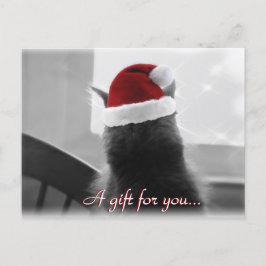 愛らしいクリスマス猫の贈り物証 ポストカード
