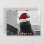 愛らしいクリスマス猫の贈り物証 ポストカード (正面/裏面)
