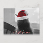 愛らしいクリスマス猫の贈り物証 ポストカード (正面)