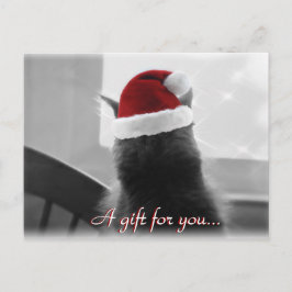 愛らしいクリスマス猫の贈り物証 ポストカード