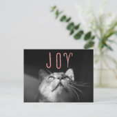 愛らしいクリスマス猫 シーズンポストカード (スタンド正面)