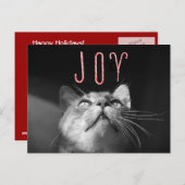 愛らしいクリスマス猫 シーズンポストカード (正面/裏面)