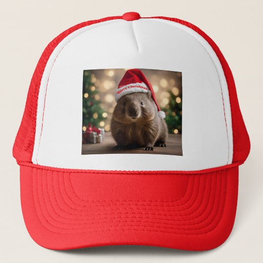 愛らしいクリスマス・ウォンバット キャップ (正面)