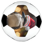愛らしいクリスマス・クーカブラ サッカーボール (回転)