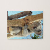 愛らしいコアラパズル – オーストラリアの野生生物 ジグソーパズル (横)