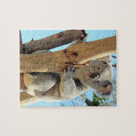 愛らしいコアラパズル – オーストラリアの野生生物 ジグソーパズル (横)