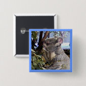 愛らしいコアラ 缶バッジ (正面&裏面)