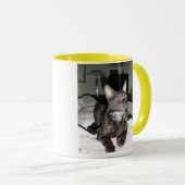 愛らしいコーニッシュのレックス マグカップ (正面右)