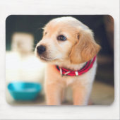 愛らしいゴールデンレトリバーパピー マウスパッド (正面)