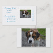 愛らしいサンベルナール峠 名刺 (正面/裏面)