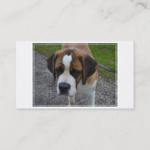 愛らしいサンベルナール峠 名刺 (裏面)