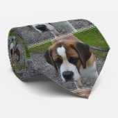 愛らしいサンベルナール ネクタイ (ロール)