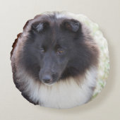 愛らしいシェットランド・シープドッグ ラウンドクッション (正面)