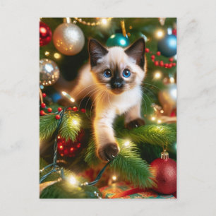 愛らしいシャム猫のクリスマス ポストカード