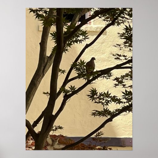 愛らしいシルエット ポスター (正面)