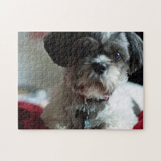 愛らしいシーズー(犬)ツパズル ジグソーパズル (横)