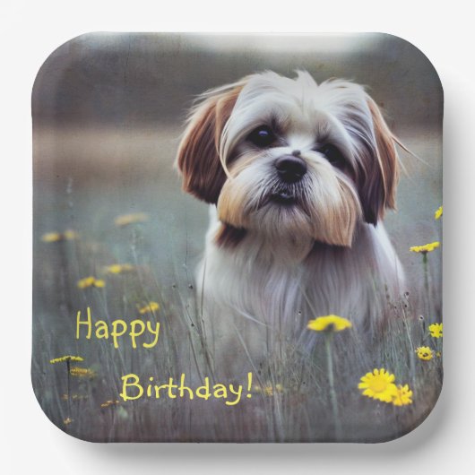 愛らしいシーズー（犬）Tzu ペーパープレート (正面)