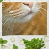 愛らしいジンジャータブビーキャットポーズ付きペットポートレート キッチンタオル (折り畳み)