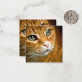 愛らしいジンジャータブビーキャットポーズ付きペットポートレート ノートカード (正面/裏面インサイチュ)