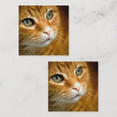 愛らしいジンジャータブビーキャットポーズ付きペットポートレート ノートカード (正面/裏面)