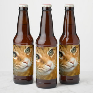 愛らしいジンジャータブビーキャットポーズ付きペットポートレート ビールラベル