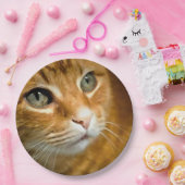 愛らしいジンジャータブビーキャットポーズ付きペットポートレート ペーパープレート (パーティー)